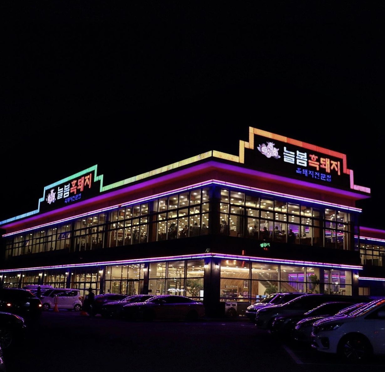 늘봄흑돼지 - 이미지 1